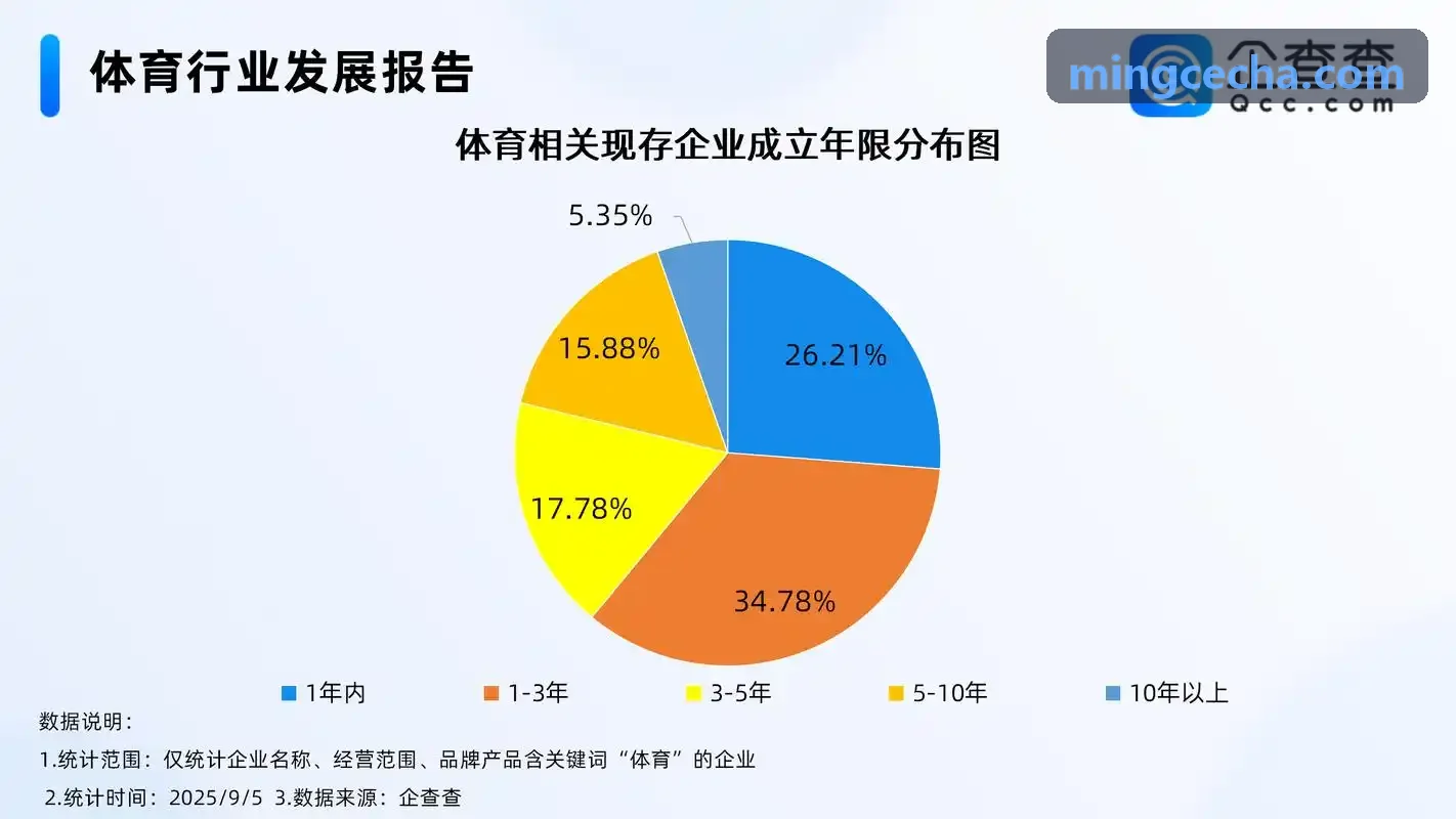 AI智慧体育一体化立柱终端